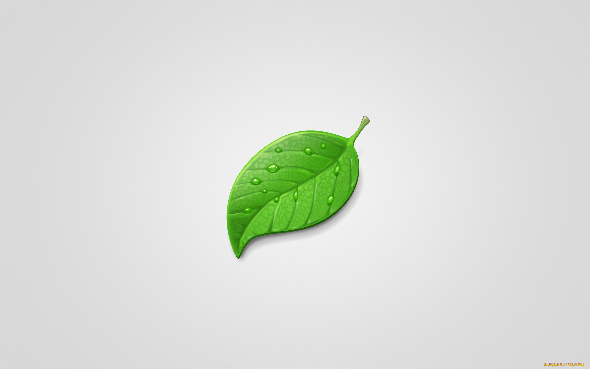 , , , leaf, , , , 
